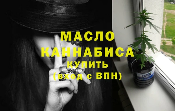 мет Алексин