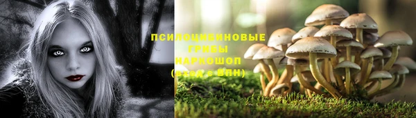 мет Алексин