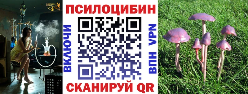 Галлюциногенные грибы прущие грибы  где купить наркоту  Сясьстрой 