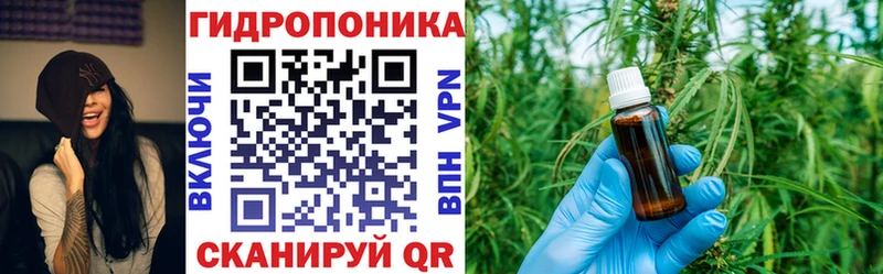 Конопля гибрид  Сясьстрой 